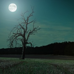 Requiem (Opeth Cover)