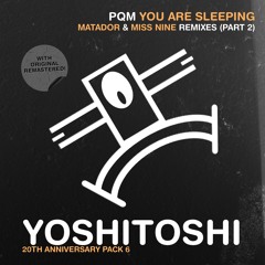 PQM - You Are Sleeping (Miss Nine Remix)