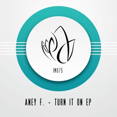 Aney F. - Turn It On (Original Mix) - Innocent Music