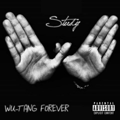 Study - Wu-Tang Forever