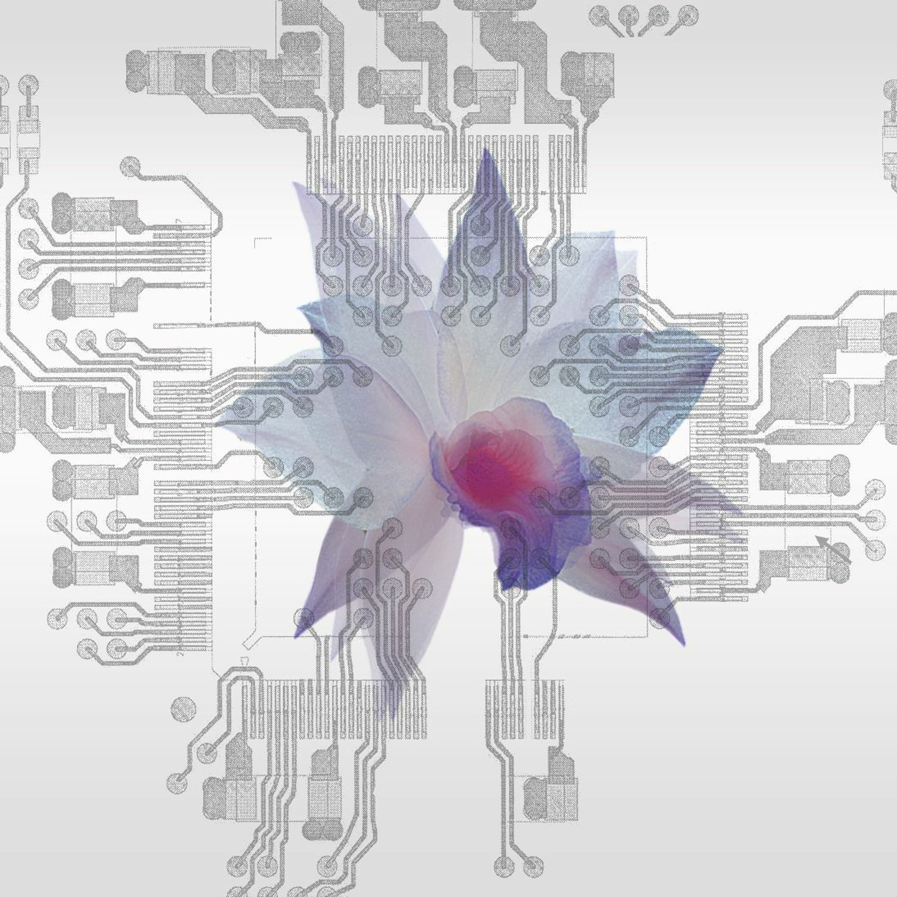 Temporary Memories episode artwork