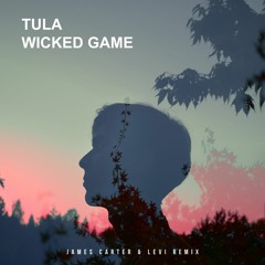 Tula - Wicked Game (James Carter & Levi Remix)