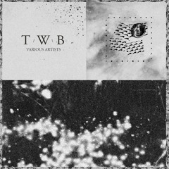 V/A - Waste Series (Inc. RVDE, FLmm, Rezystor, Empyrean, Anthro, EMYN, Martyn Hare)[TWB002]