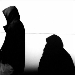 Premiere: ME & her “Soldier Fly” (dubspeeka Remix)