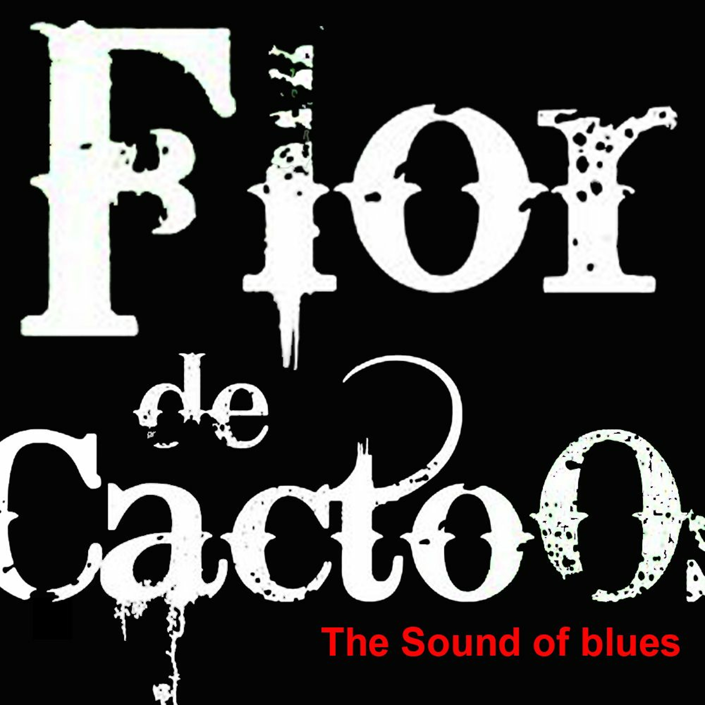 Flor de Cactoos