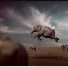 TuNcaY AkdoGaN By EfdaL - bir nehir ki omrum .mp3