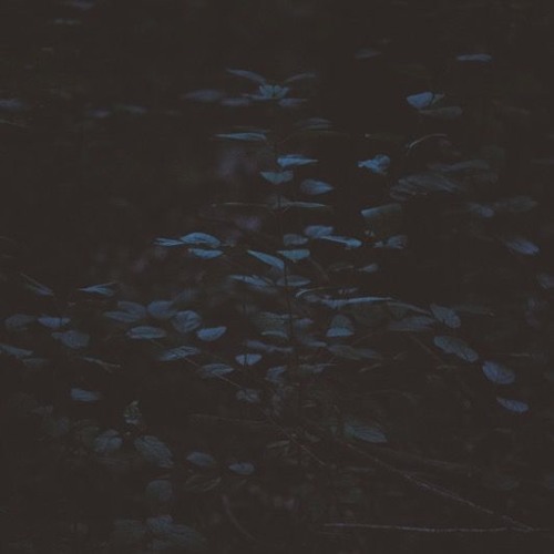 Ever By Tiny Deaths On Soundcloud Hear The World S Sounds ever by tiny deaths on soundcloud