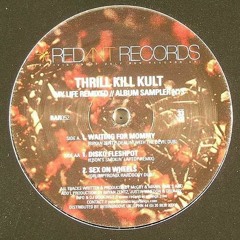 My Life with the Thrill Kill Kult - Disko Fleshpot (Ebon's Smokin' Laptop Remix)