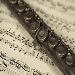Flute Instrumentals ☮☮☮