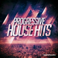 Progressive House ↓—↑