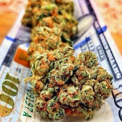 blunted era