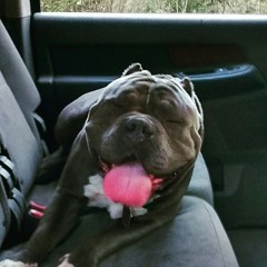 Yet anotha freestyle