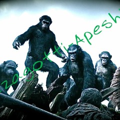CEEZAGOTTI - ApeShit