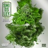 Smileyface Hippie Niggas Future Trap Niggas Remix Mp3
