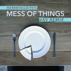 Mess of Things (VXV Remix)