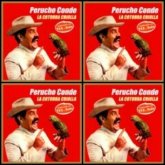 Perucho Conde - La Cotorra Criolla (HipHop En Movimiento Vocal - Mix)