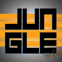 JUNGLE / D&B
