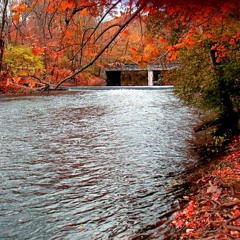 River Thoughts - II. Passaic (live)