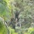 Artwork for Yowie Feeding Station Oct 23, 2013