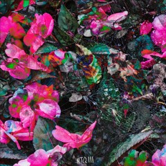 Crystal Mec + AHMD // Cultivate