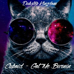 ▶ Cuboid - Got Me Burnin