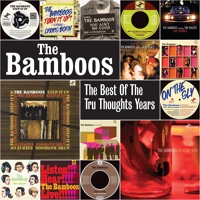 The Bamboos - Step It Up