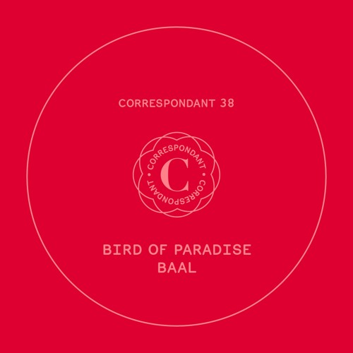 Bird of Paradise - Baal (Lauer Rmx)