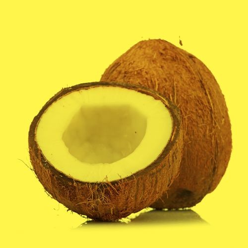 Milk from the Coconut  (Manu Zed Edit) Part Two