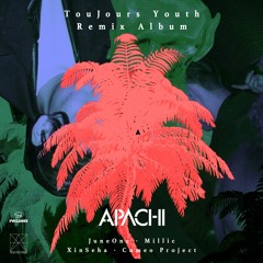 TouJours Youth Feat. Xin Seha (Cumeo Project Remix)
