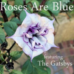 Girl in my window ROSES ARE BLUE ft. The Gatsbys
