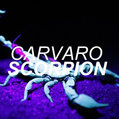 Carvaro - Scorpion (Original Mix)