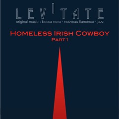 Homeless Irish Cowboy