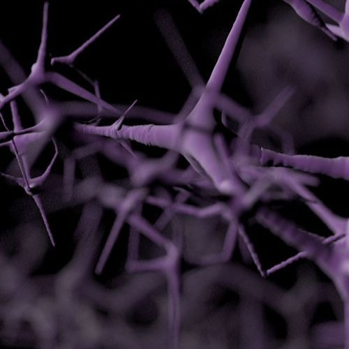 Dee Koda - Disorder (Original Mix) Free DL