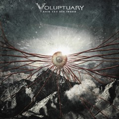 Nhin vao ben trong (single 2015)