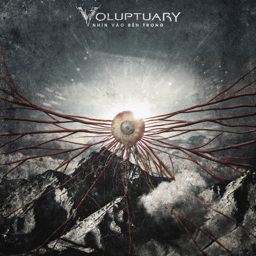 Nhin vao ben trong (single 2015)