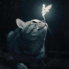 The amazing dark declaration of love