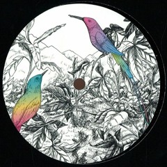 Disco // Funk // Synth