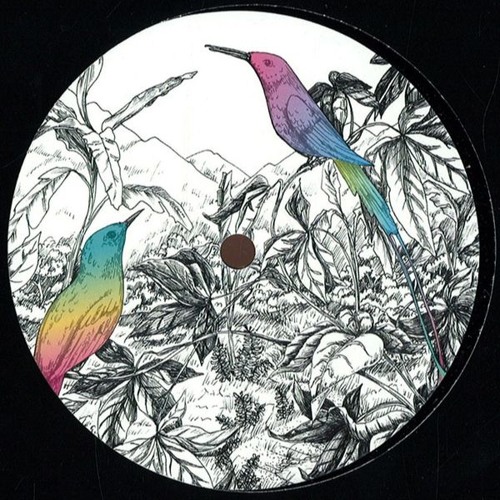 Disco // Funk // Synth