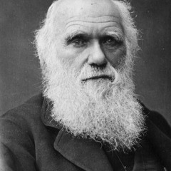 Charles Darwin - XaL - English