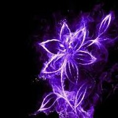Stefan KC - Flowers & Bees