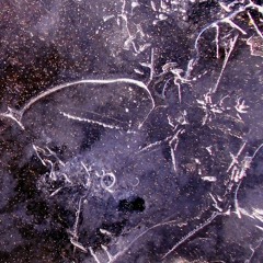 Starwaves - Vincent Sergent