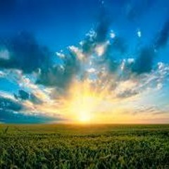 Who Knows What Tomorrow May Bring (Traffic cover)