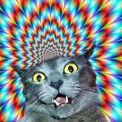 The Dead Cat Remix