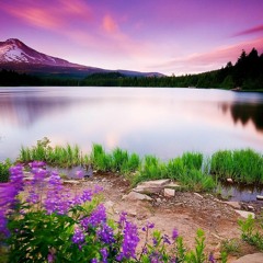 Arithmetical Values (3rd Part)