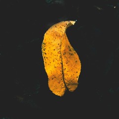 Colo