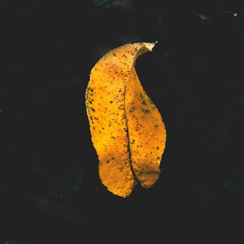 Colo