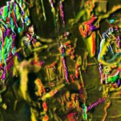 Los Siquicos Litoraleños - Chucrú Tropineal (((ensayete-guazú /toma 2 )))