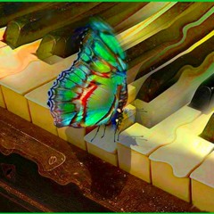 07 Butterfly Mount By Graham Domain