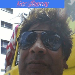 Hey Mr Jeff Lynne  (E.L.O)- Gee Sunray (1)