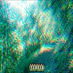 IntroThe Zone (Prod. By Montell Fish)